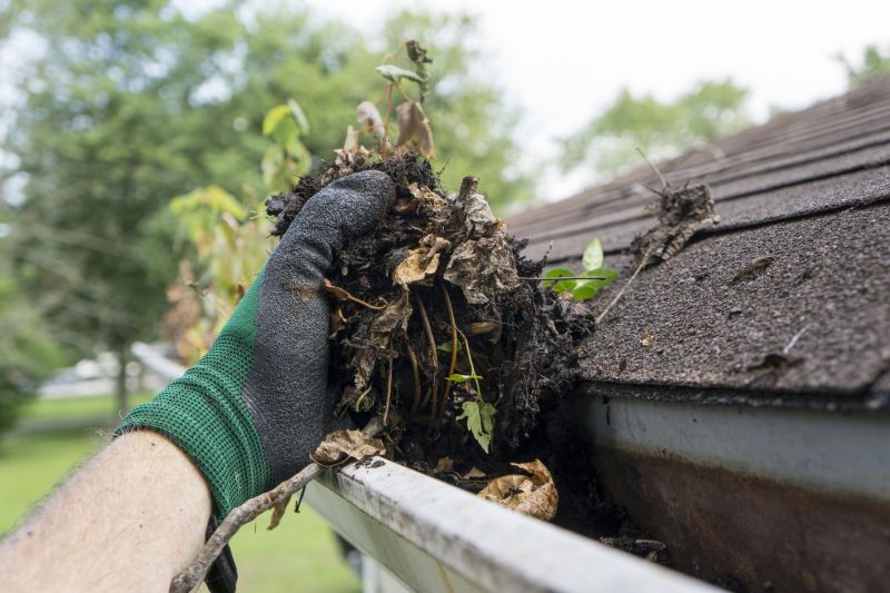 Clean Gutters After Storms